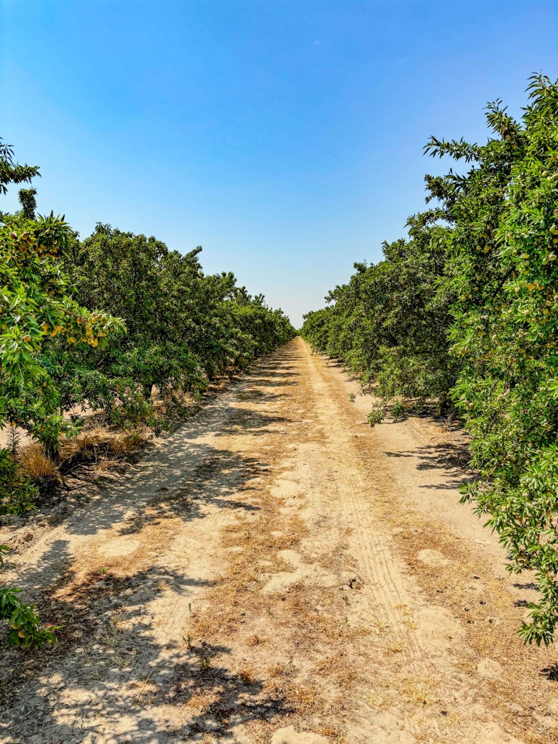 2457 E Clarkson Ave, Selma, CA 93662