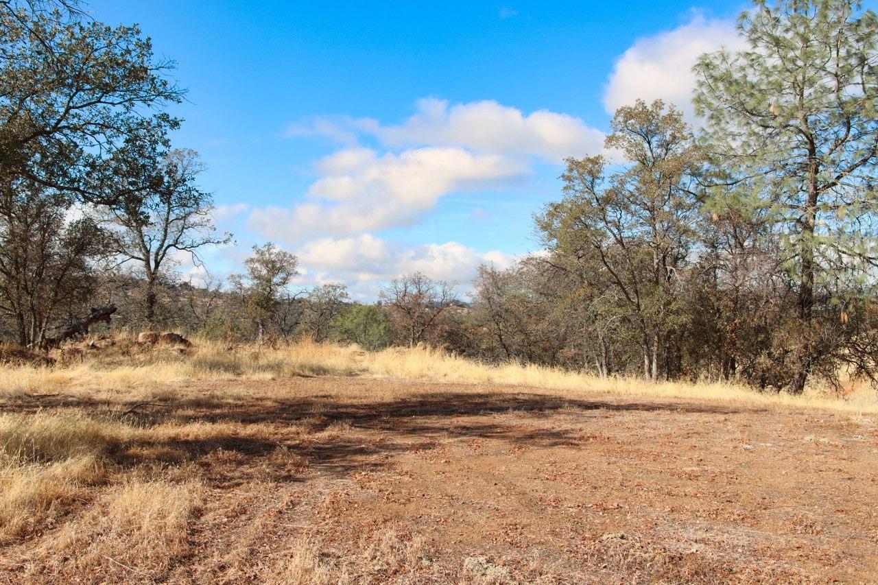 0 39.91 AC Road 400, Coarsegold, CA 93614