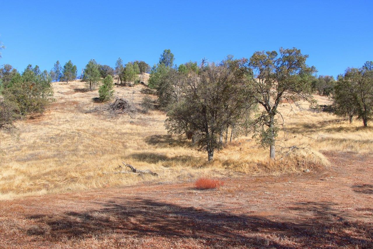 0 39.91 AC Road 400, Coarsegold, CA 93614