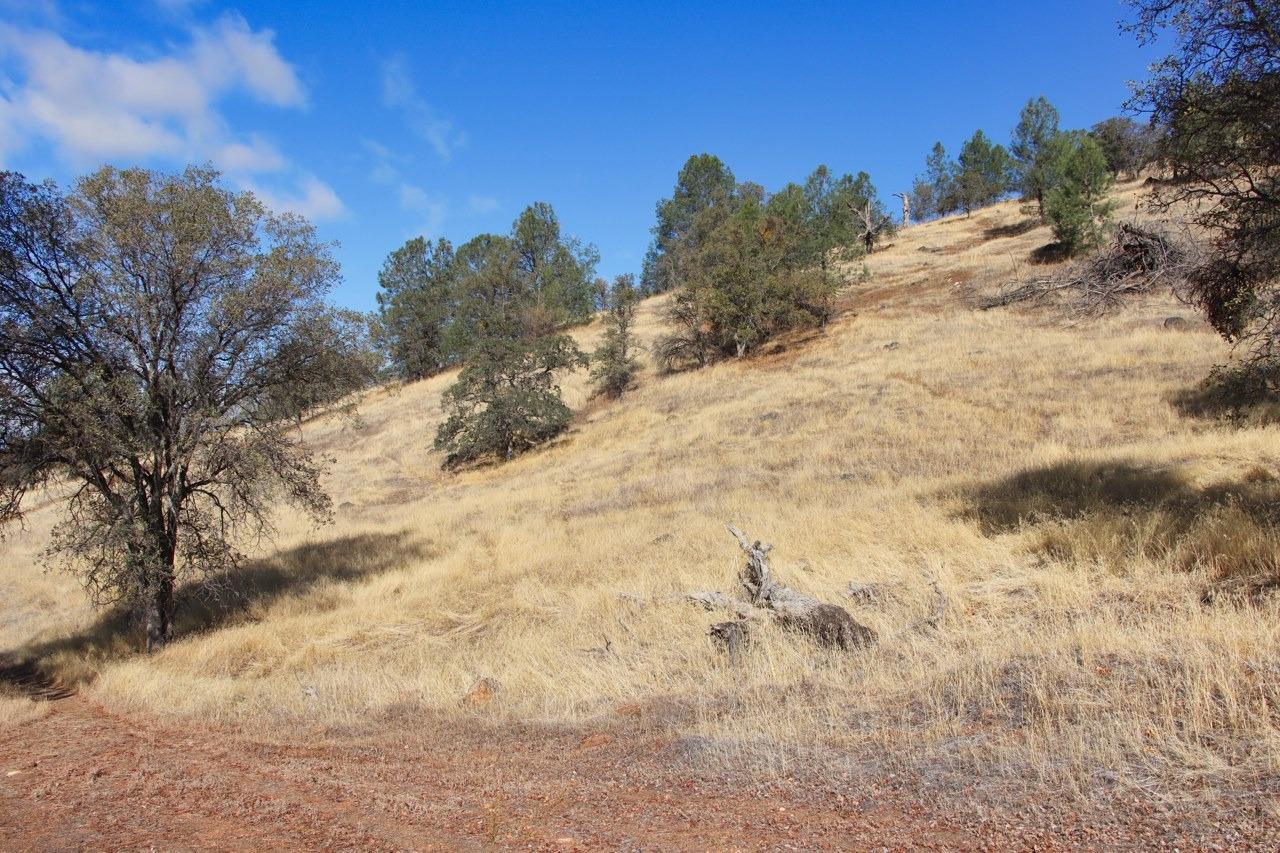0 39.91 AC Road 400, Coarsegold, CA 93614