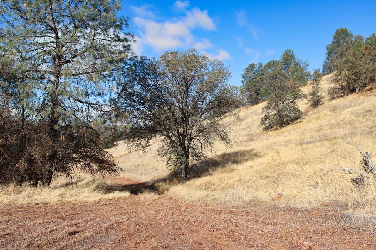 0 39.91 AC Road 400, Coarsegold, CA 93614