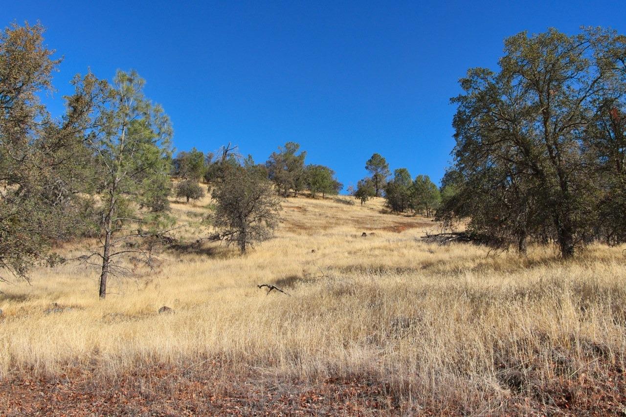 0 39.91 AC Road 400, Coarsegold, CA 93614