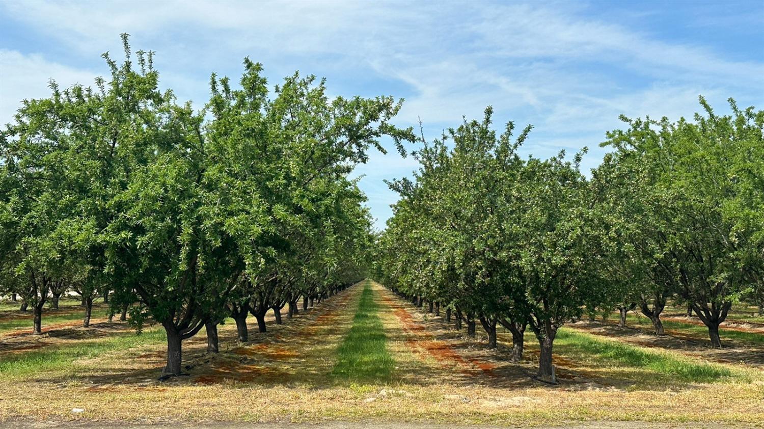 16027 S Marks Ave, Caruthers, CA 93609