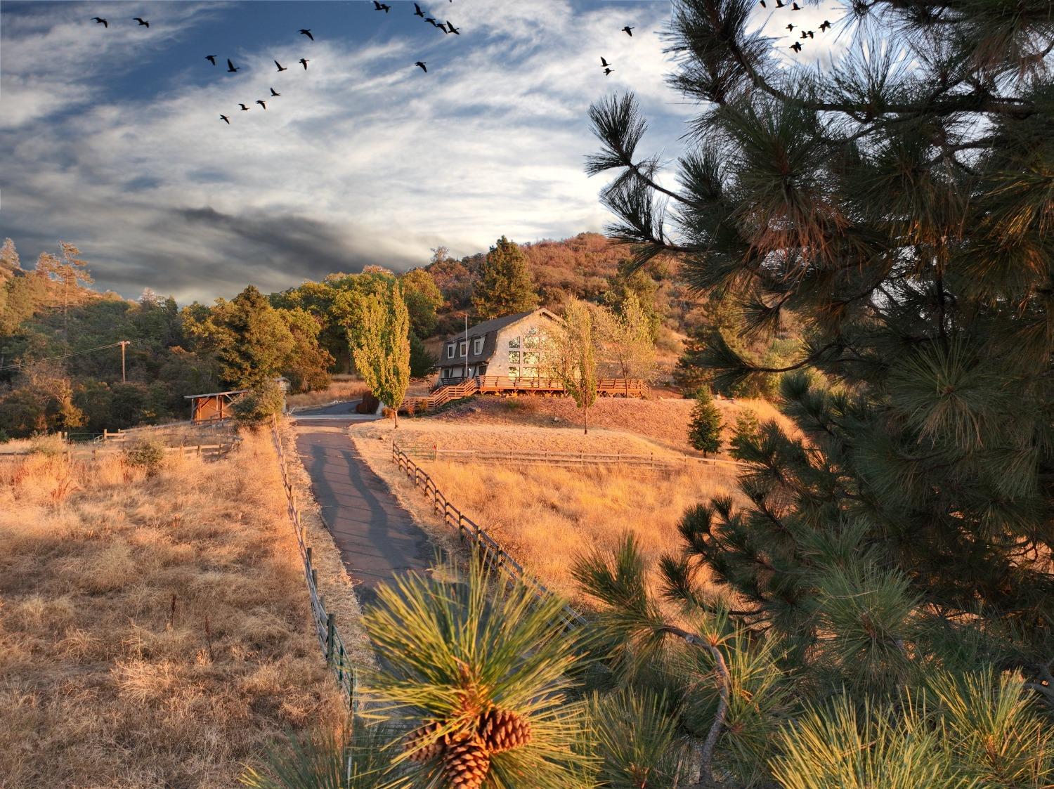 46149 Todd Eymann Rd, Miramonte, CA 93641