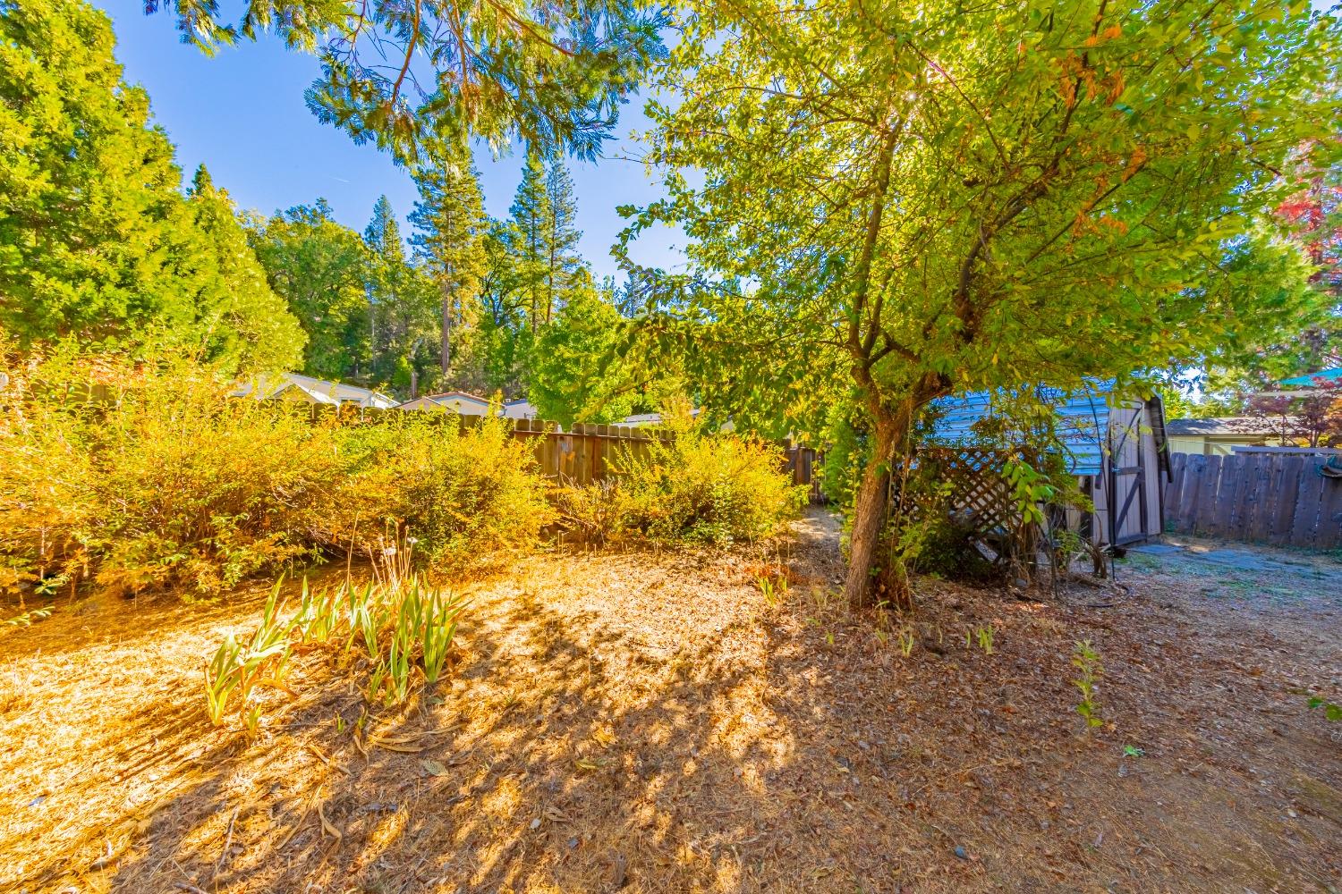 39737 Road 274 #22, Bass Lake, CA 93604