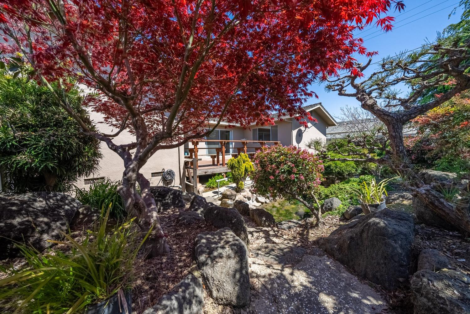 2 Lewis, Out Of Area, CA 95076