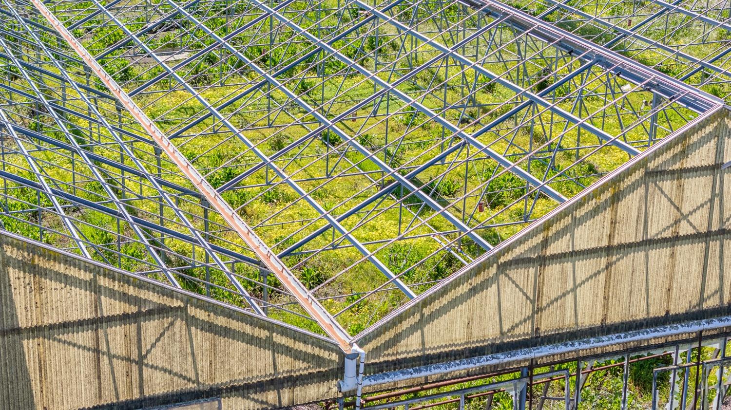 2 Lewis, Out Of Area, CA 95076