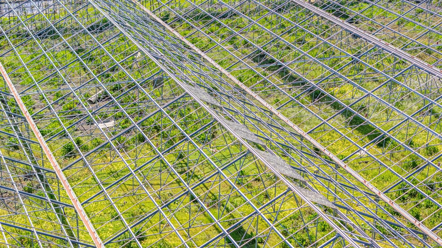 2 Lewis, Out Of Area, CA 95076