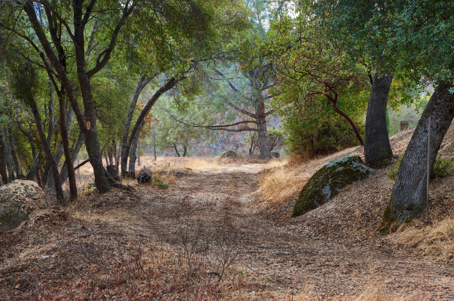 1 Stillmeadow Lane, Oakhurst, CA 93644