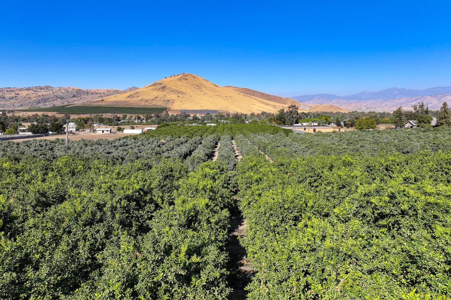 0 0 Road 284, Porterville, CA 93257