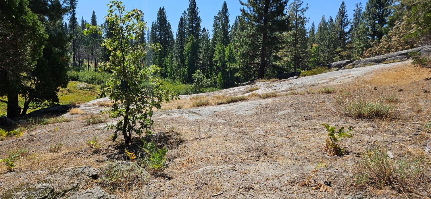 108 Forest Rd, North Fork, CA 93643