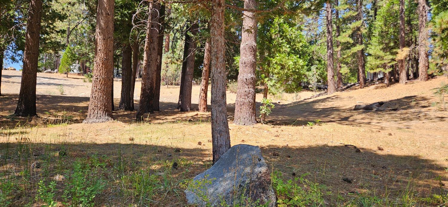 108 Forest Rd, North Fork, CA 93643