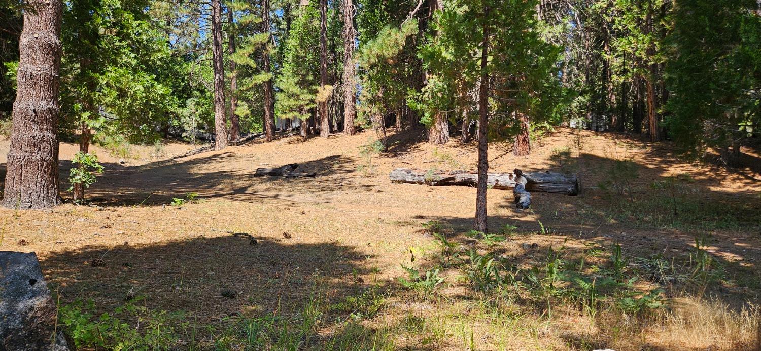 108 Forest Rd, North Fork, CA 93643