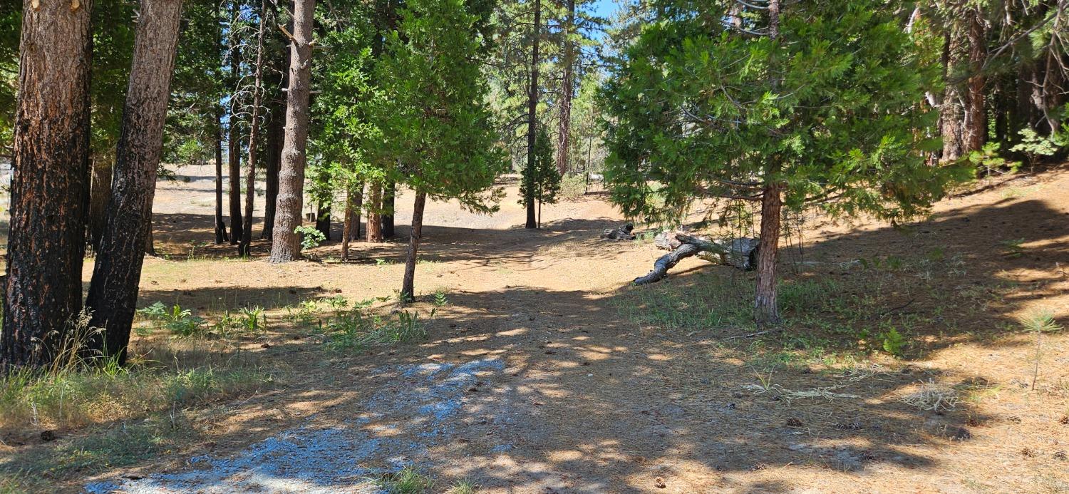 108 Forest Rd, North Fork, CA 93643