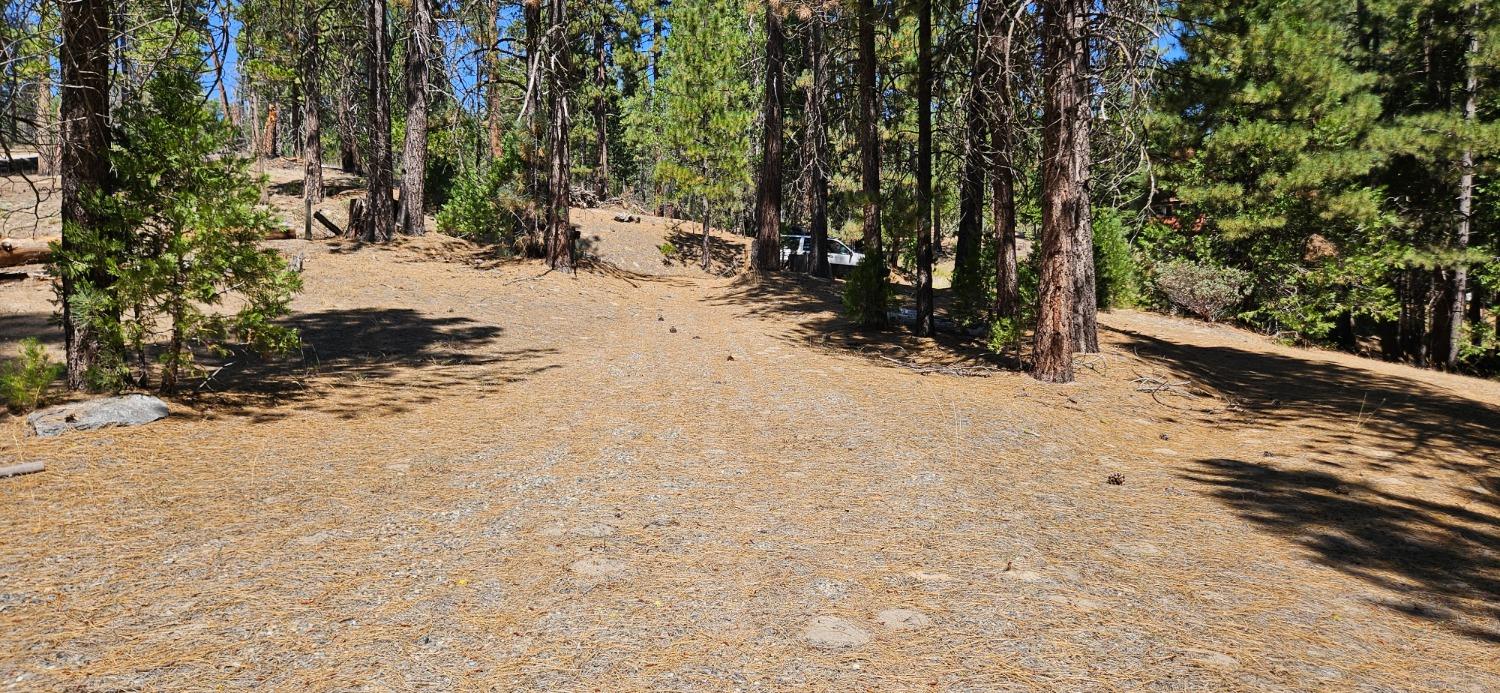 108 Forest Rd, North Fork, CA 93643