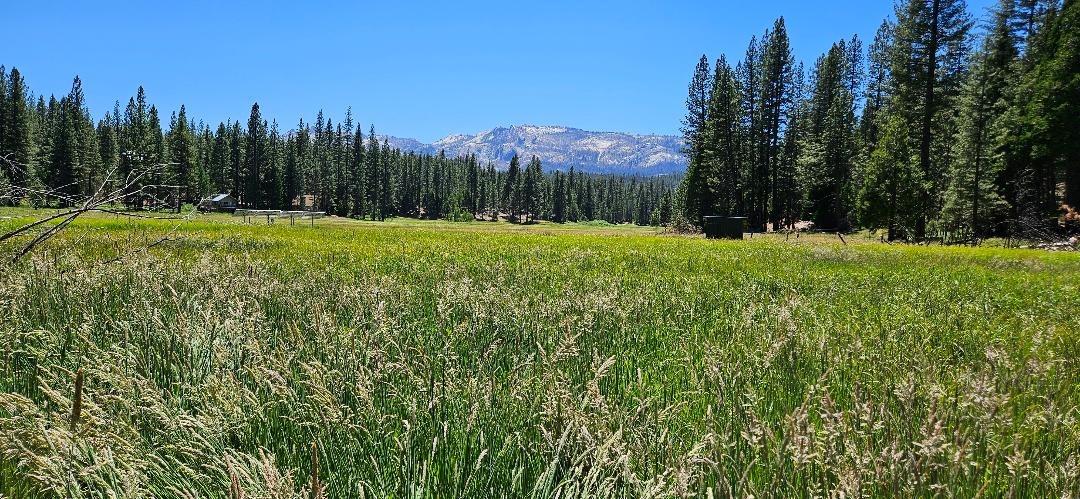 108 Forest Rd, North Fork, CA 93643