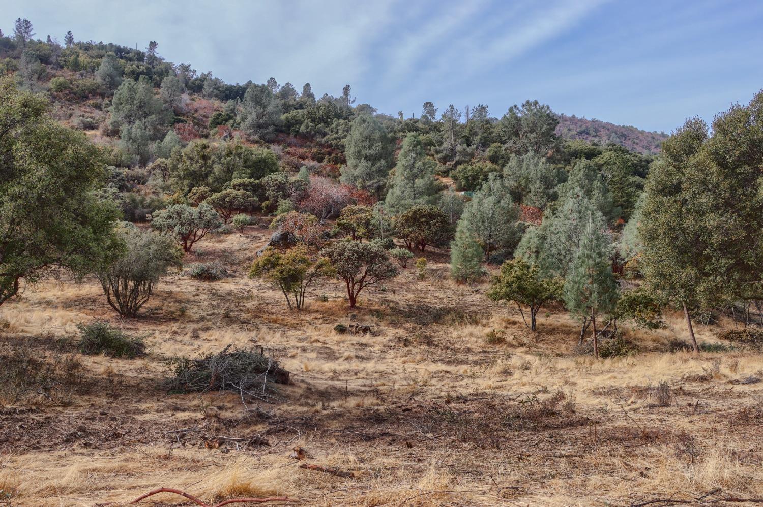 2 Stillmeadow Lane, Oakhurst, CA 93644