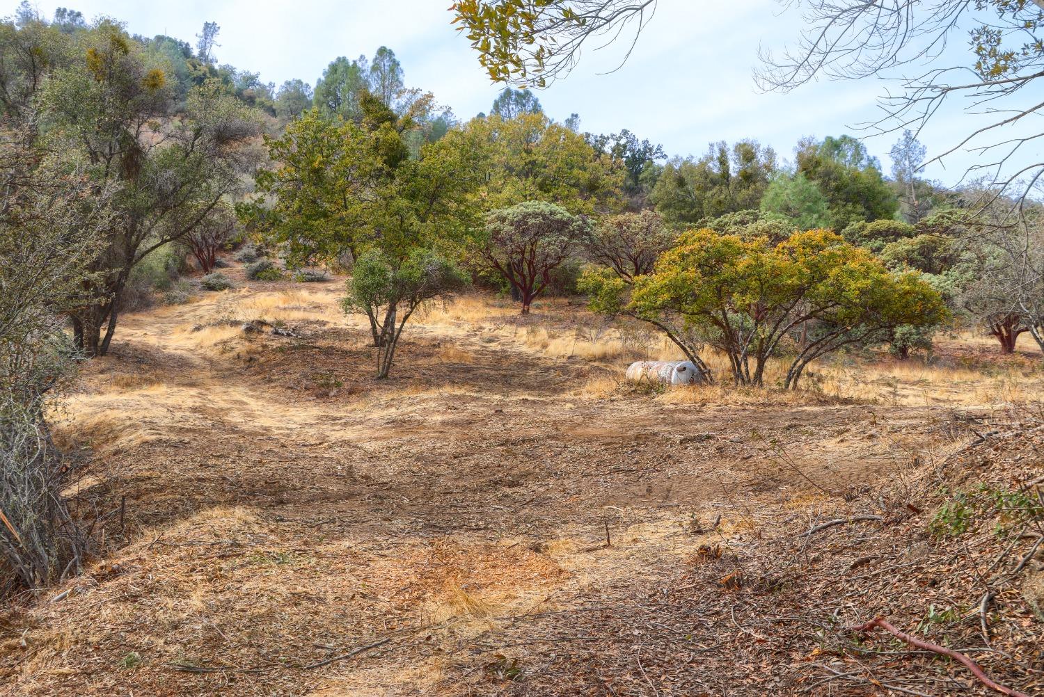 2 Stillmeadow Lane, Oakhurst, CA 93644