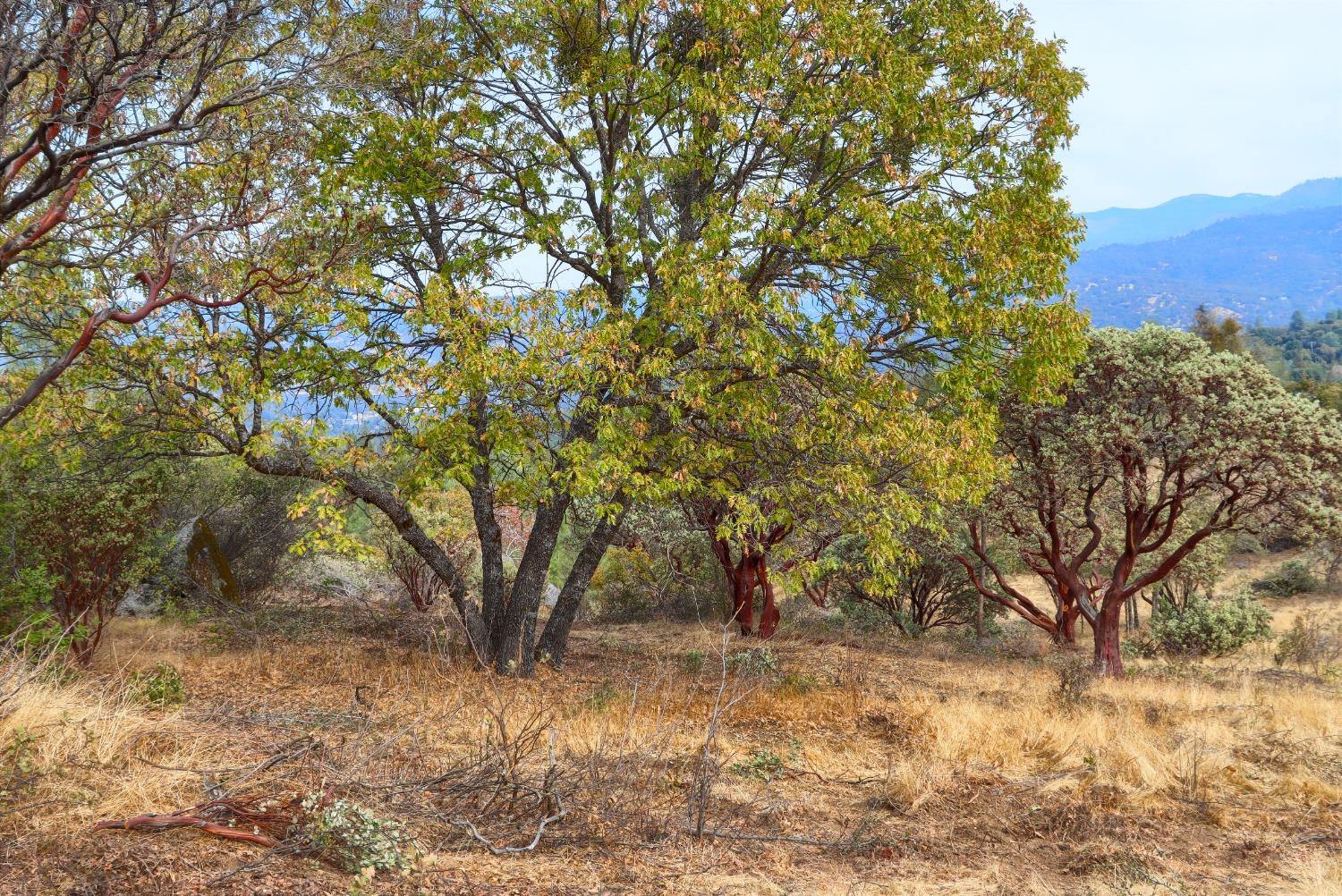 2 Stillmeadow Lane, Oakhurst, CA 93644