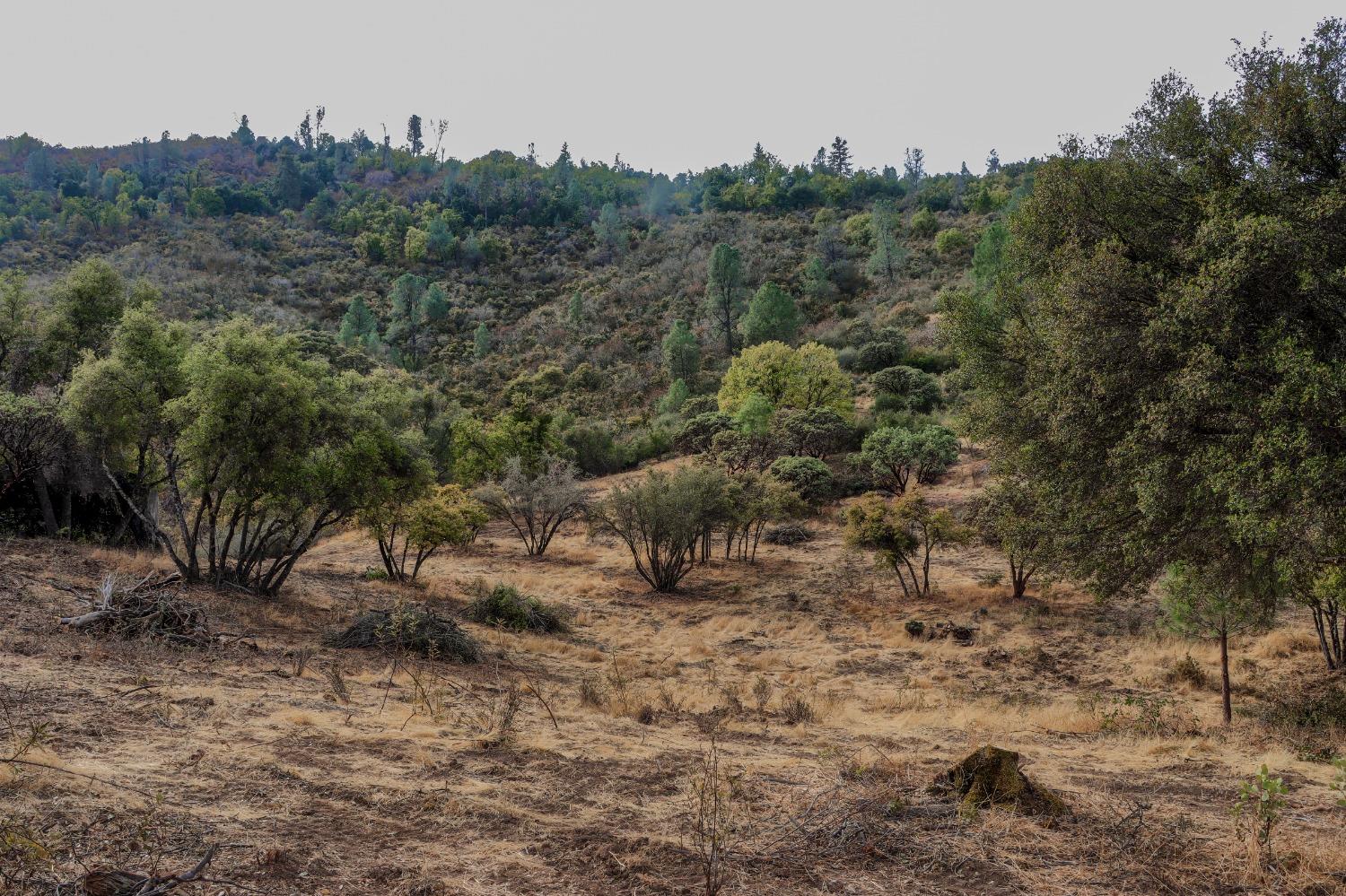 2 Stillmeadow Lane, Oakhurst, CA 93644