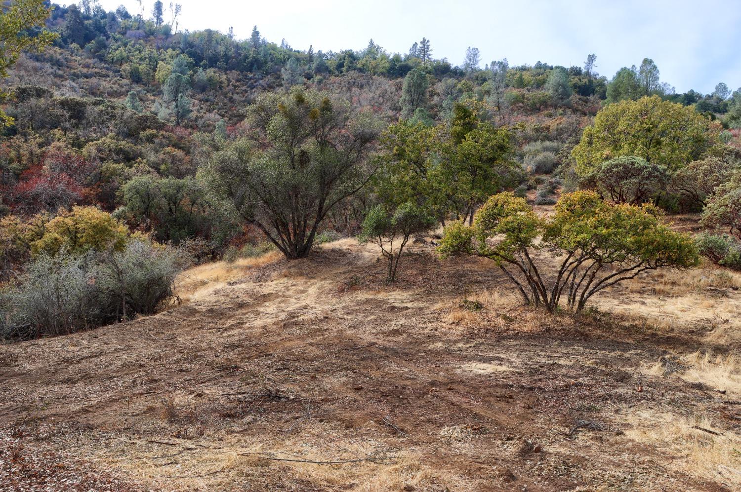 2 Stillmeadow Lane, Oakhurst, CA 93644