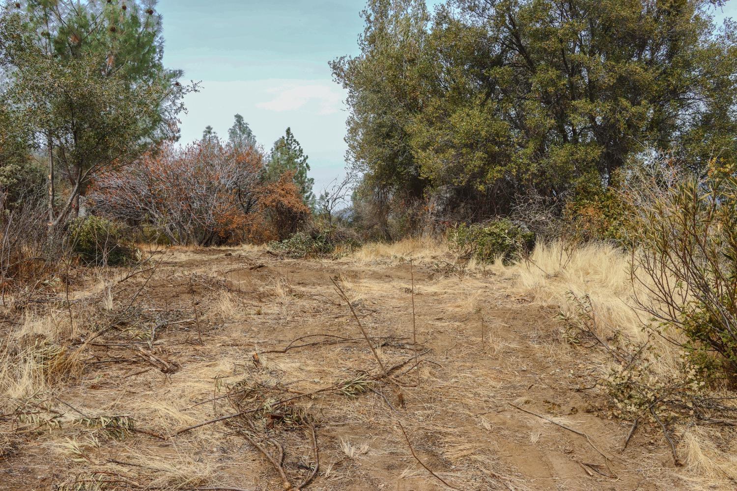 2 Stillmeadow Lane, Oakhurst, CA 93644