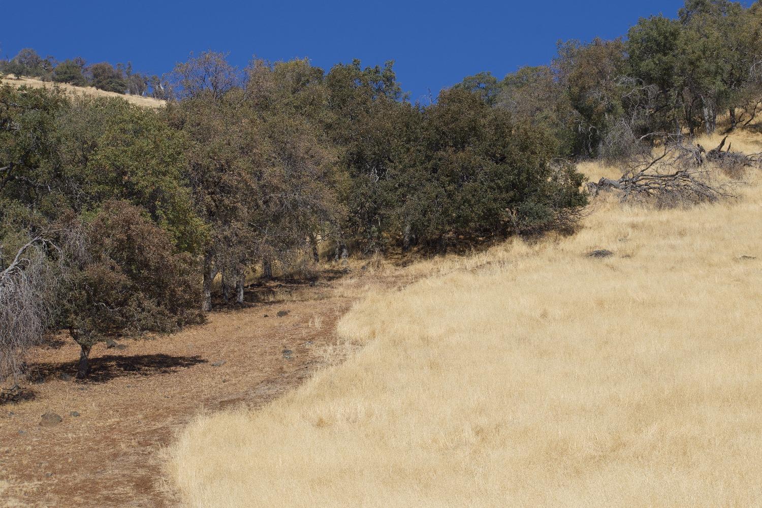 0 0 Crane Ln, Yokuts Valley, CA 93675