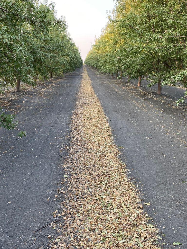 9833 S Colusa Ave, San Joaquin, CA 93660