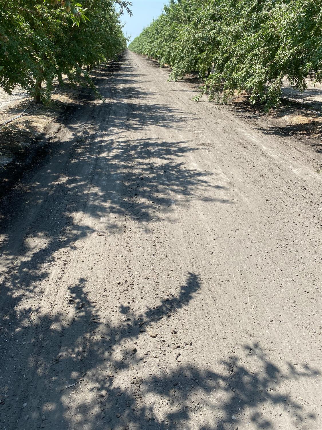 9833 S Colusa Ave, San Joaquin, CA 93660