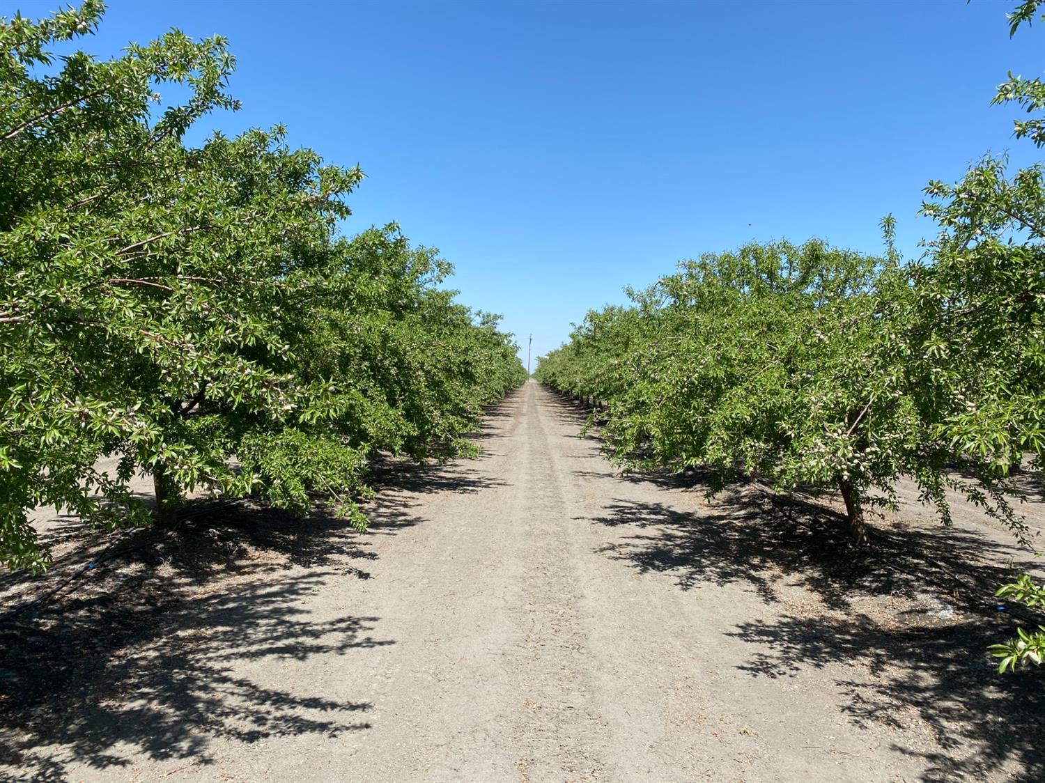 9833 S Colusa Ave, San Joaquin, CA 93660