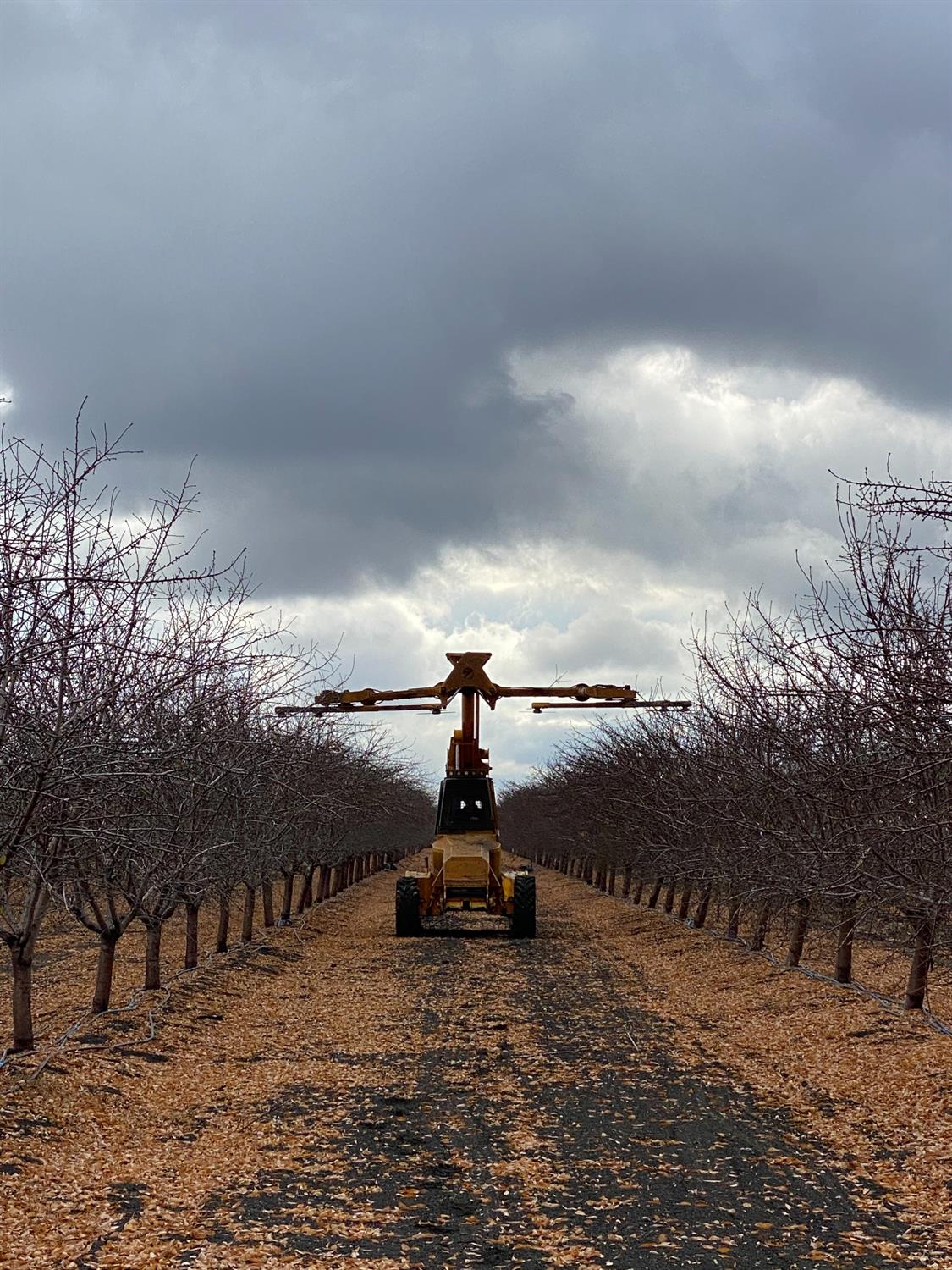 9833 S Colusa Ave, San Joaquin, CA 93660