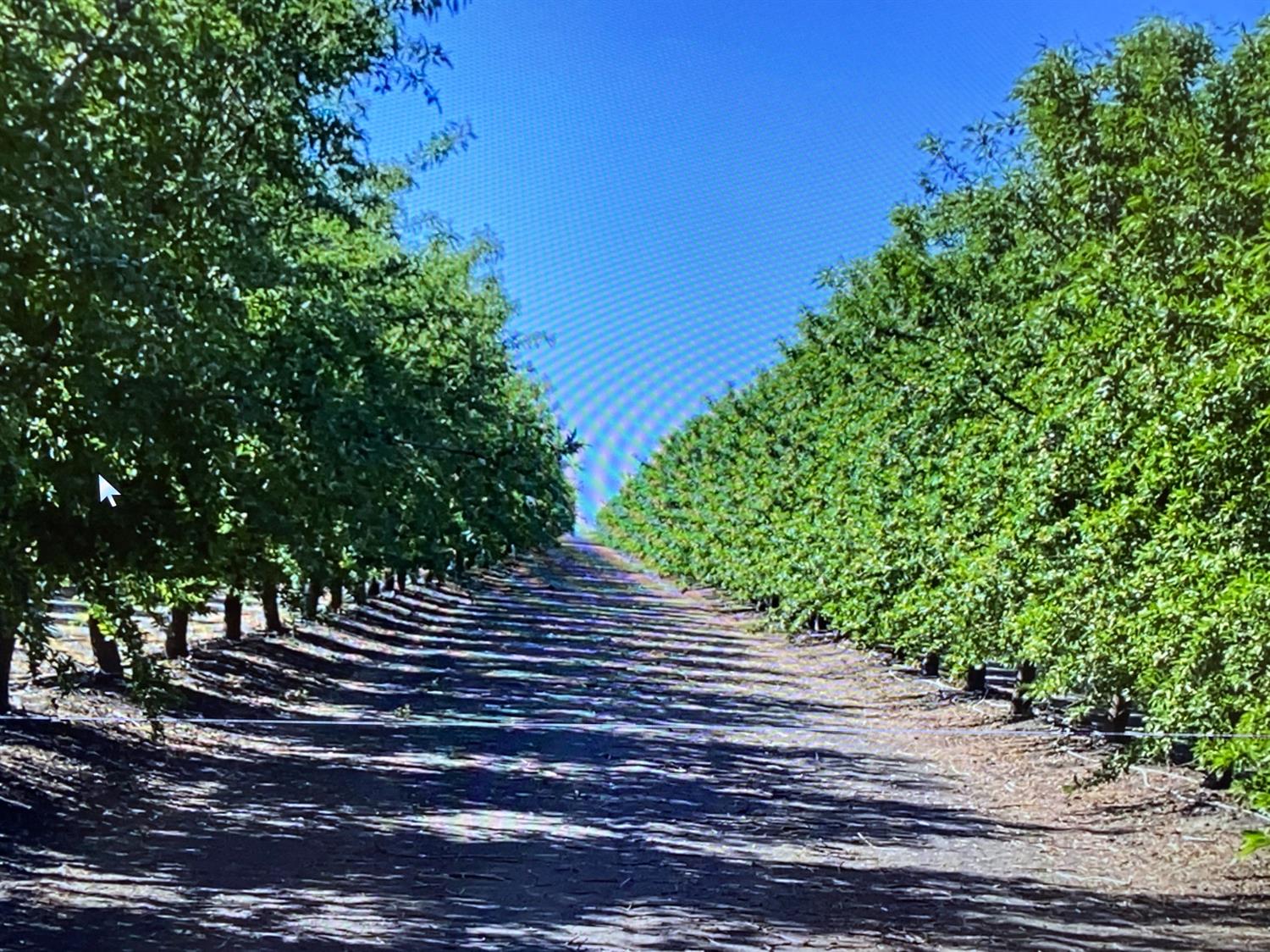 9833 S Colusa Ave, San Joaquin, CA 93660