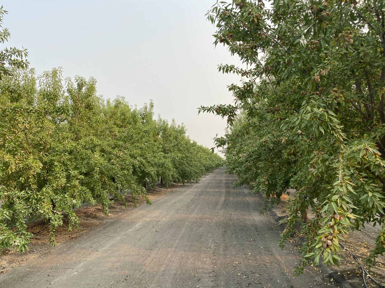 9833 S Colusa Ave, San Joaquin, CA 93660