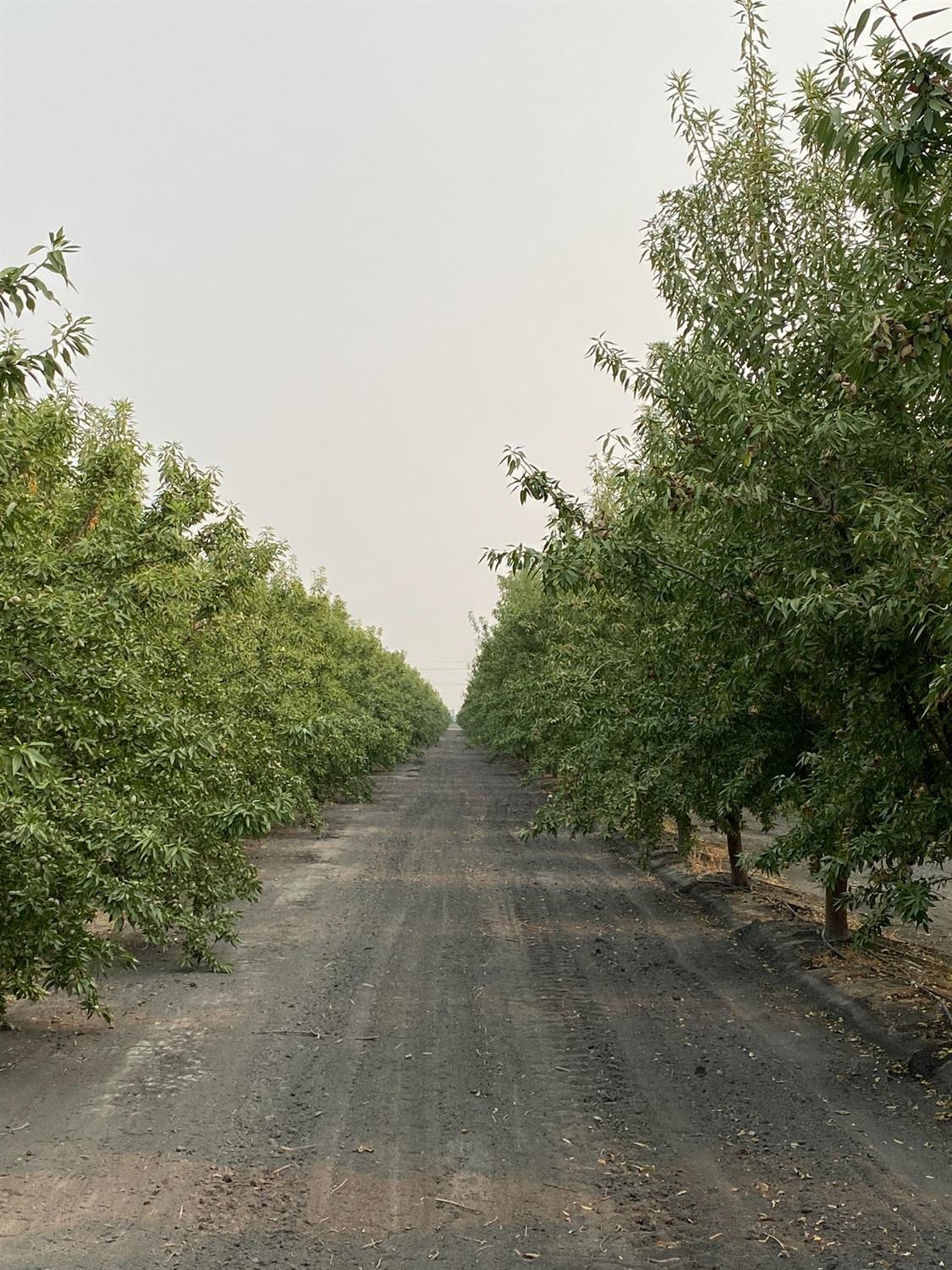 9833 S Colusa Ave, San Joaquin, CA 93660