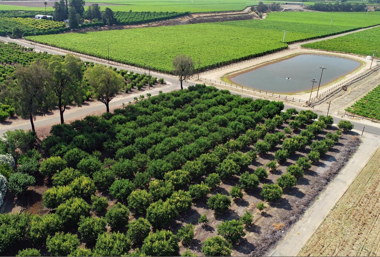 5139 Jim Savage Rd, Reedley, CA 93654