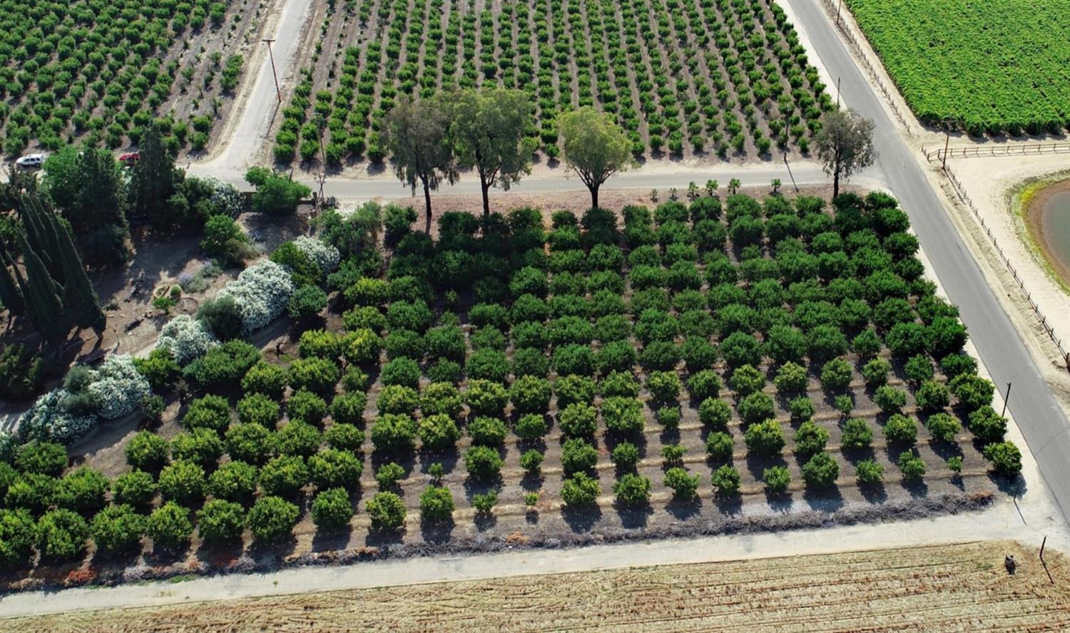 5139 Jim Savage Rd, Reedley, CA 93654