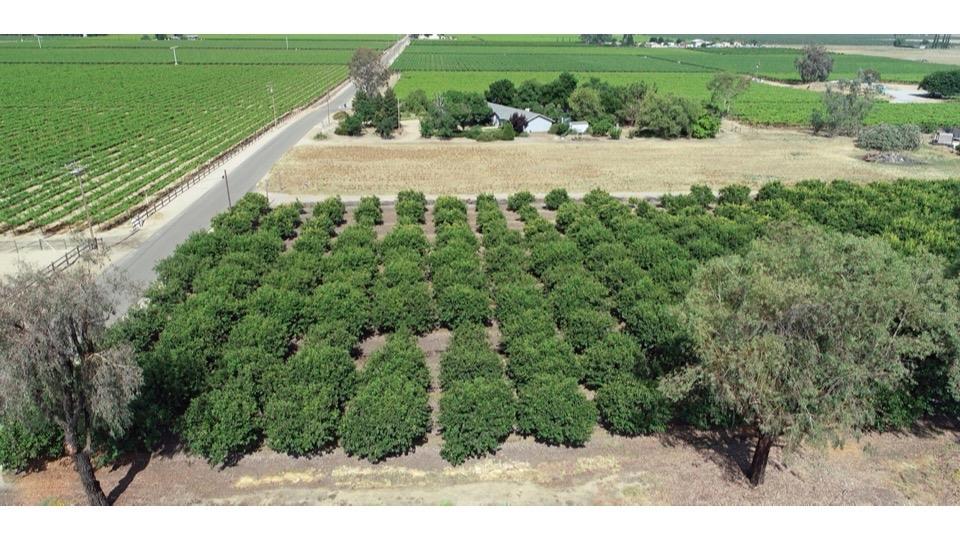 5139 Jim Savage Rd, Reedley, CA 93654