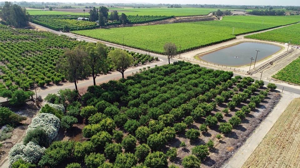 5139 Jim Savage Rd, Reedley, CA 93654