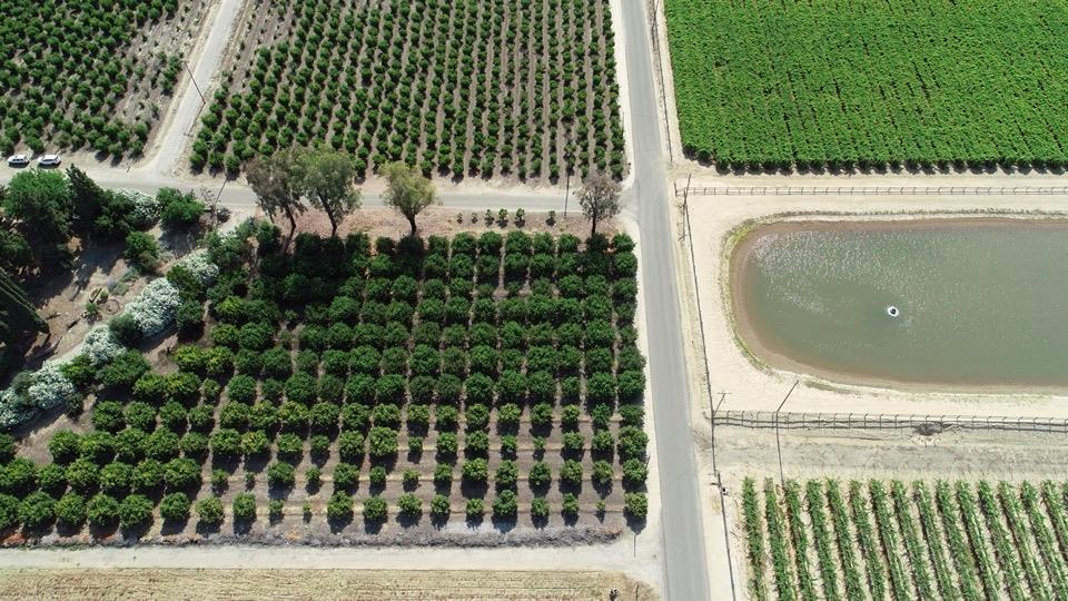 5139 Jim Savage Rd, Reedley, CA 93654