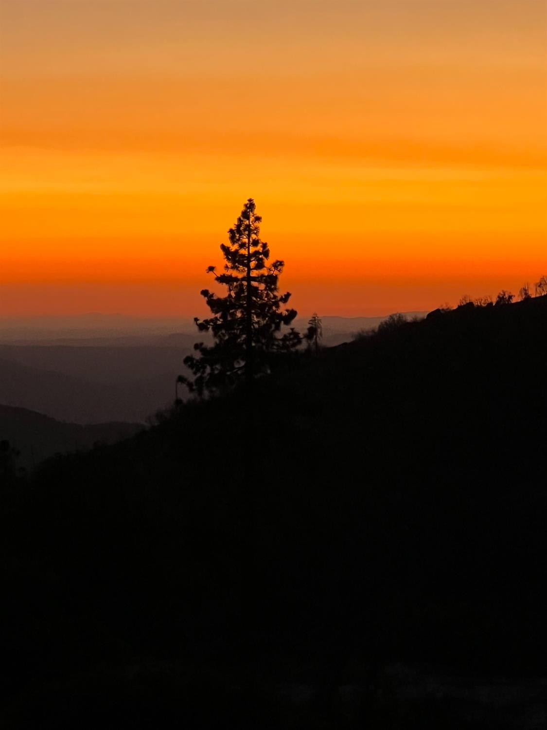 40705 Sunset Vista Ln, Shaver Lake, CA 93664