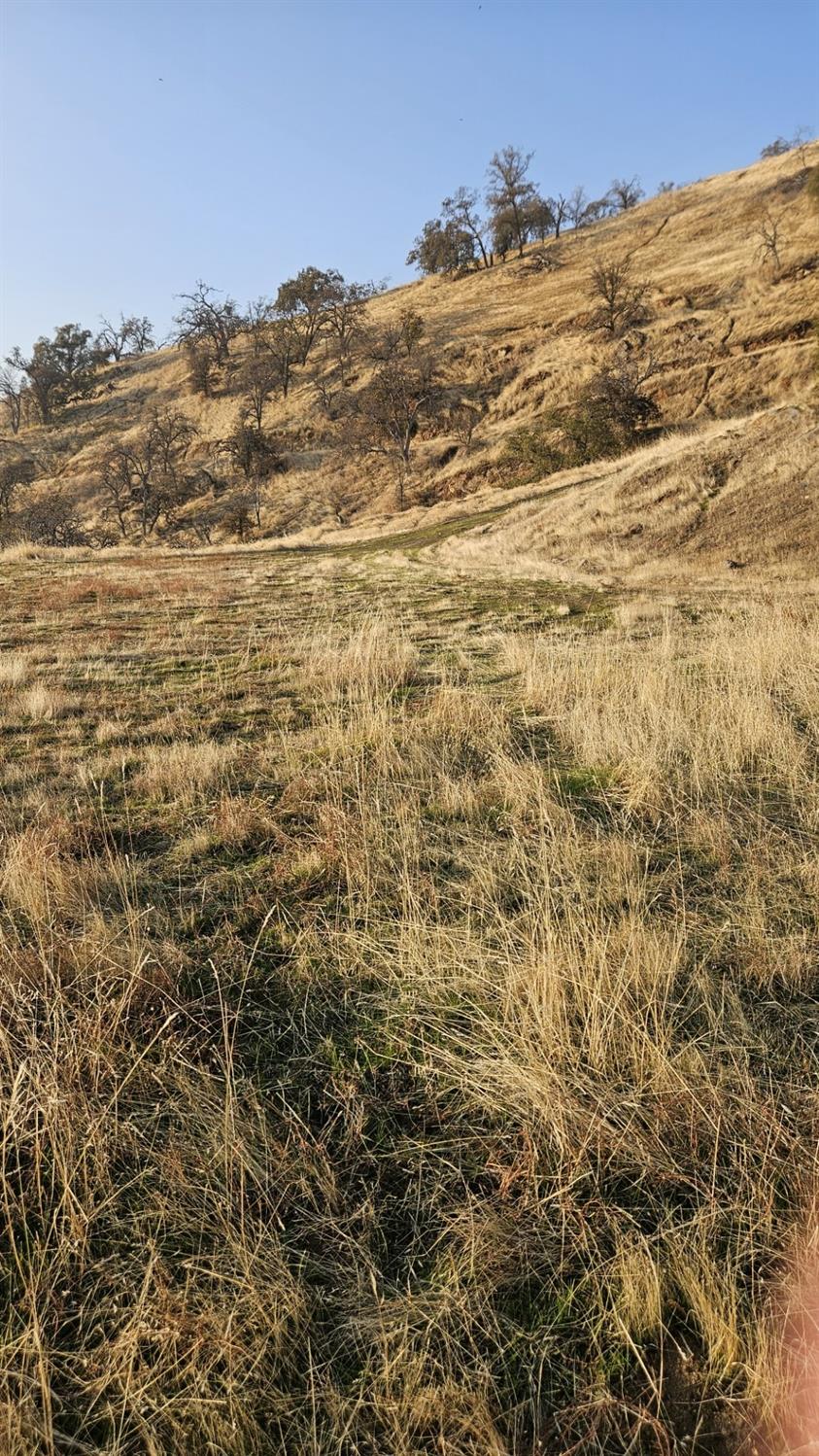 0 0 Hidden Hollow Ln, Tollhouse, CA 93667