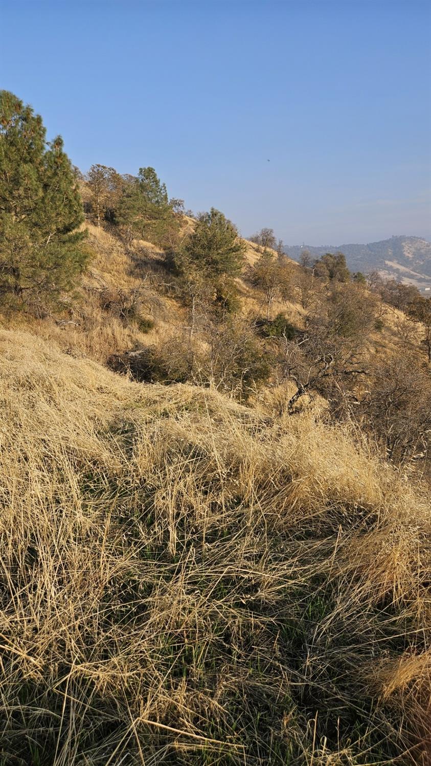 0 0 Hidden Hollow Ln, Tollhouse, CA 93667