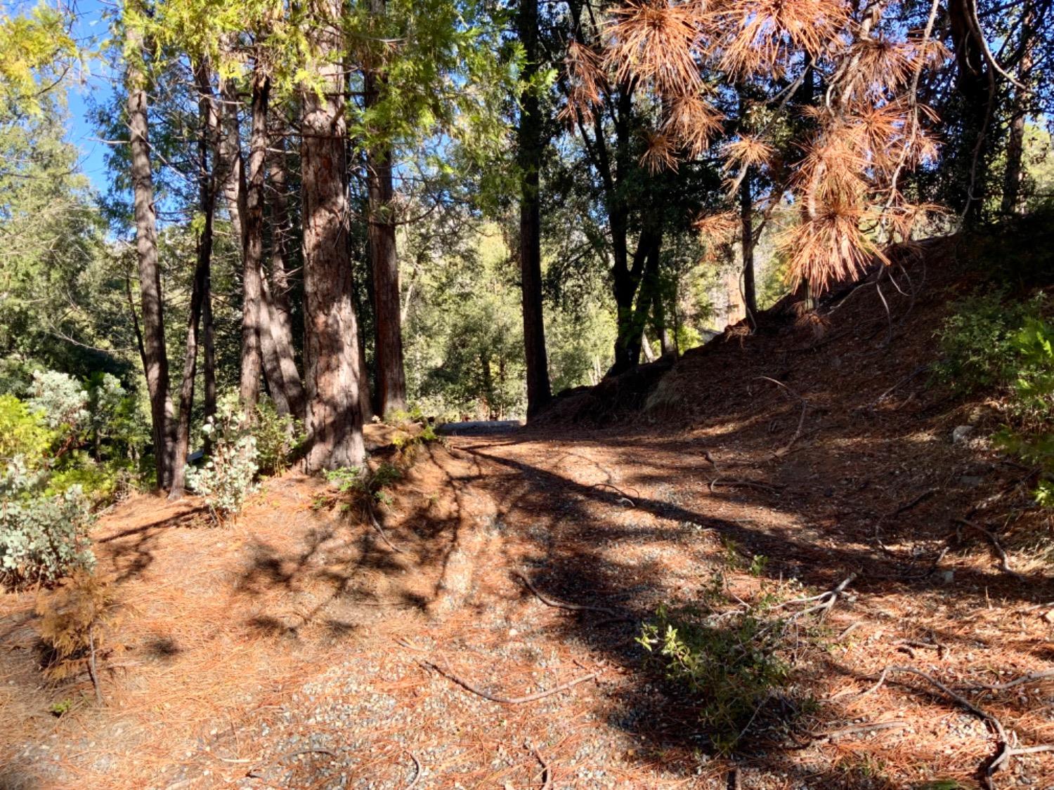 50963 Chu Ranch Rd