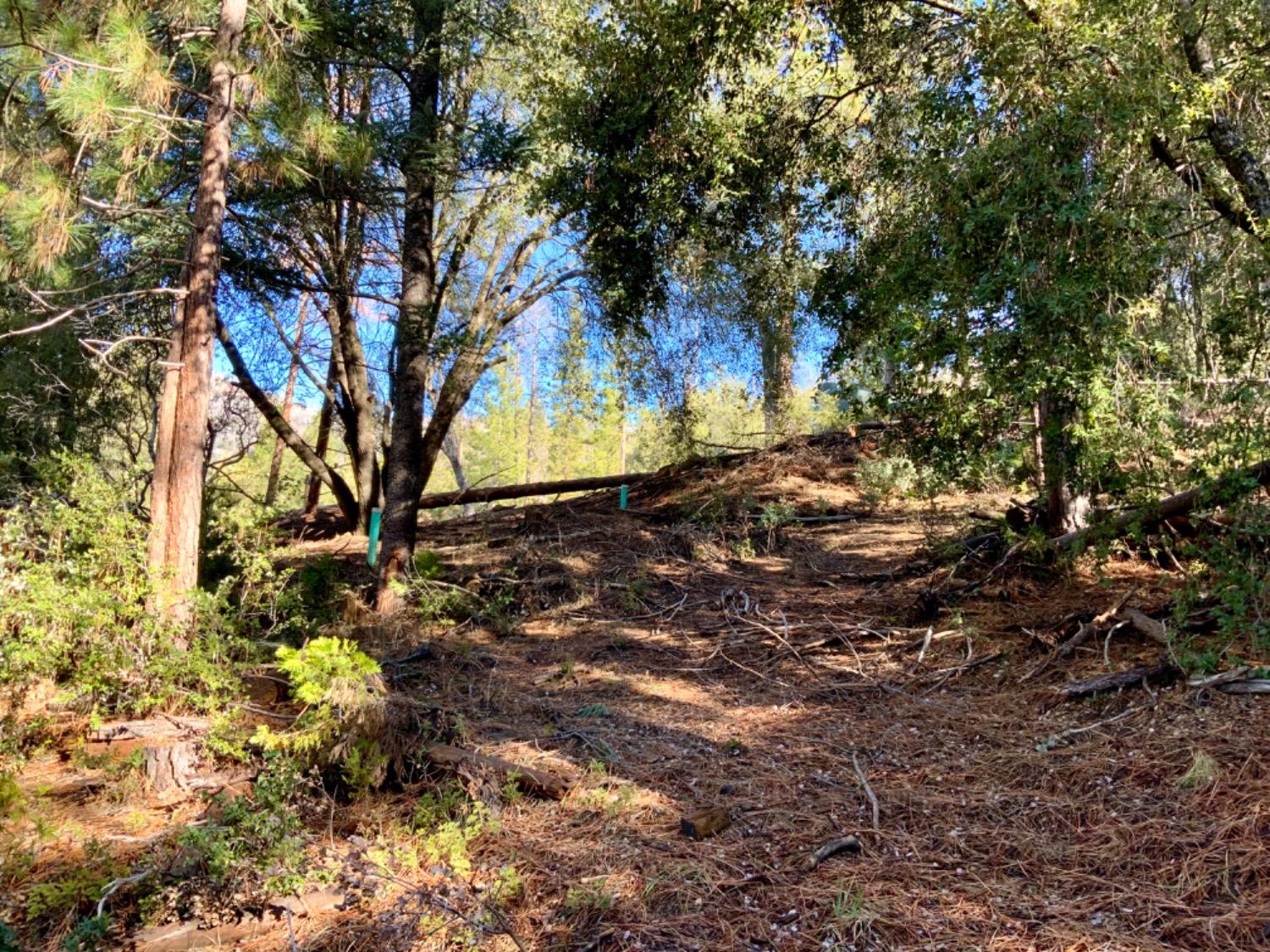 50963 Chu Ranch Rd, Oakhurst, CA 93644