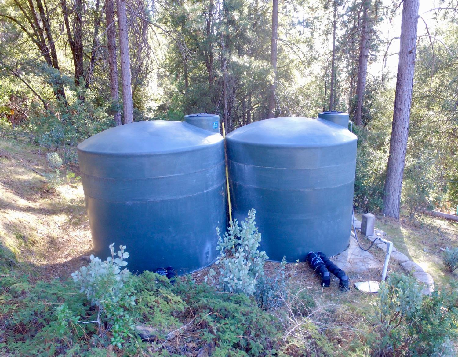 50963 Chu Ranch Rd, Oakhurst, CA 93644