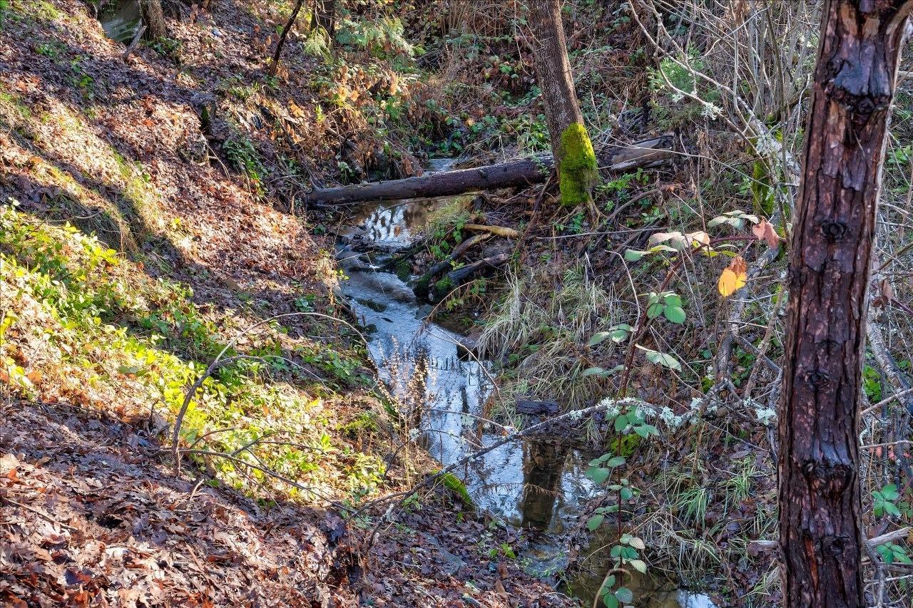 51354 Dorstan Dr, Oakhurst, CA 93644