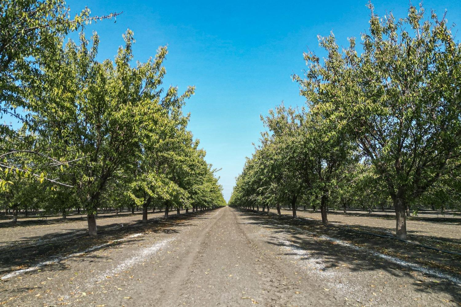 0 0 Springfield Ave, San Joaquin, CA 93660