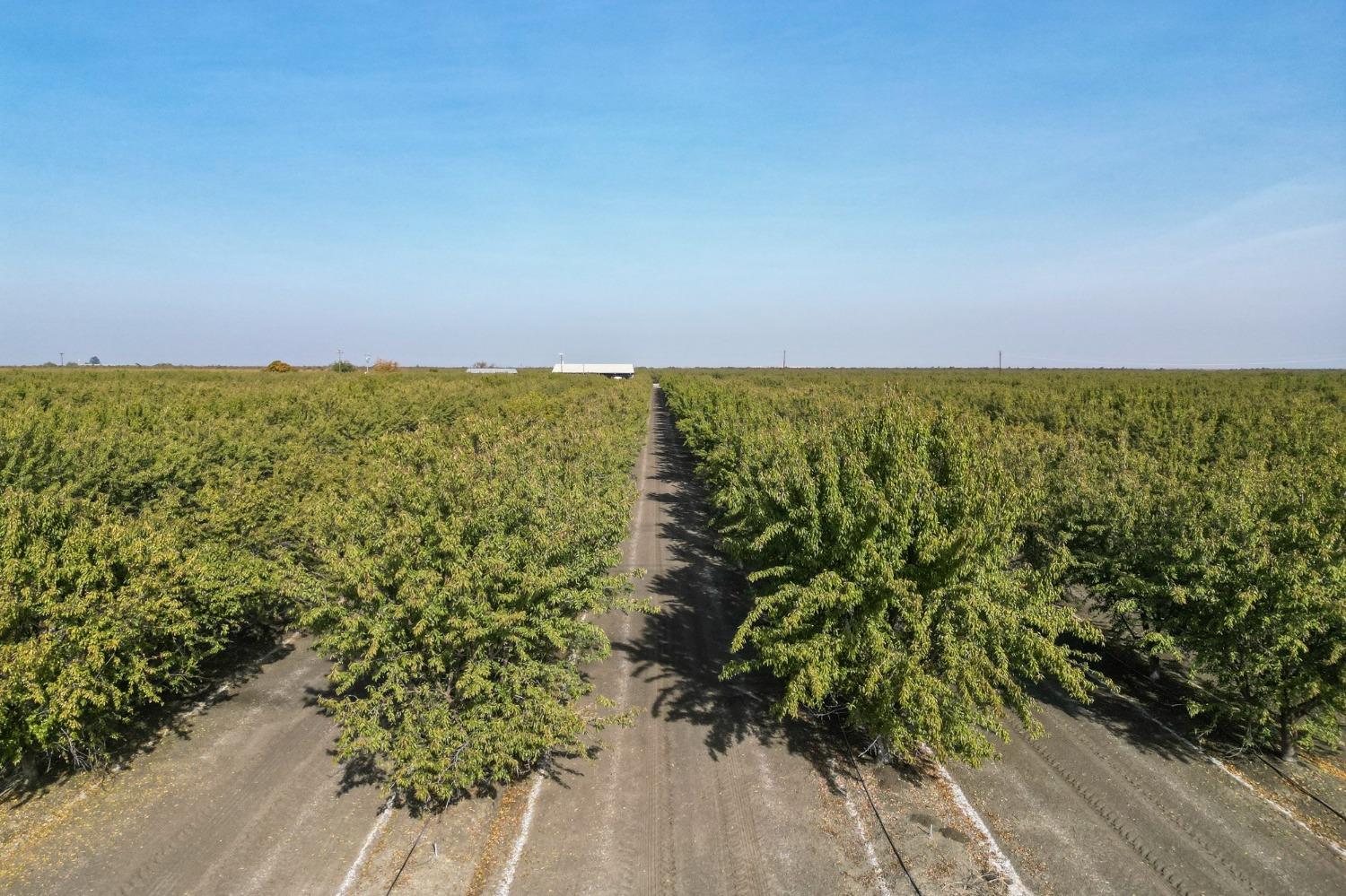 0 0 Springfield Ave, San Joaquin, CA 93660