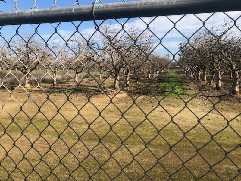 0 0 Road 26, Madera, CA 93638