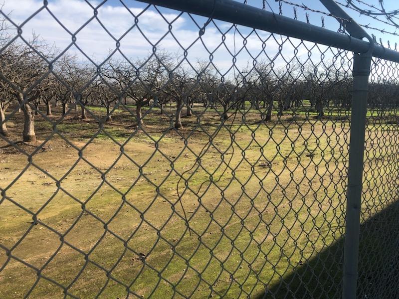 0 0 Road 26, Madera, CA 93638